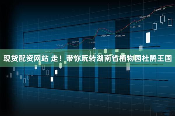 现货配资网站 走!带你玩转湖南省植物园杜鹃王国